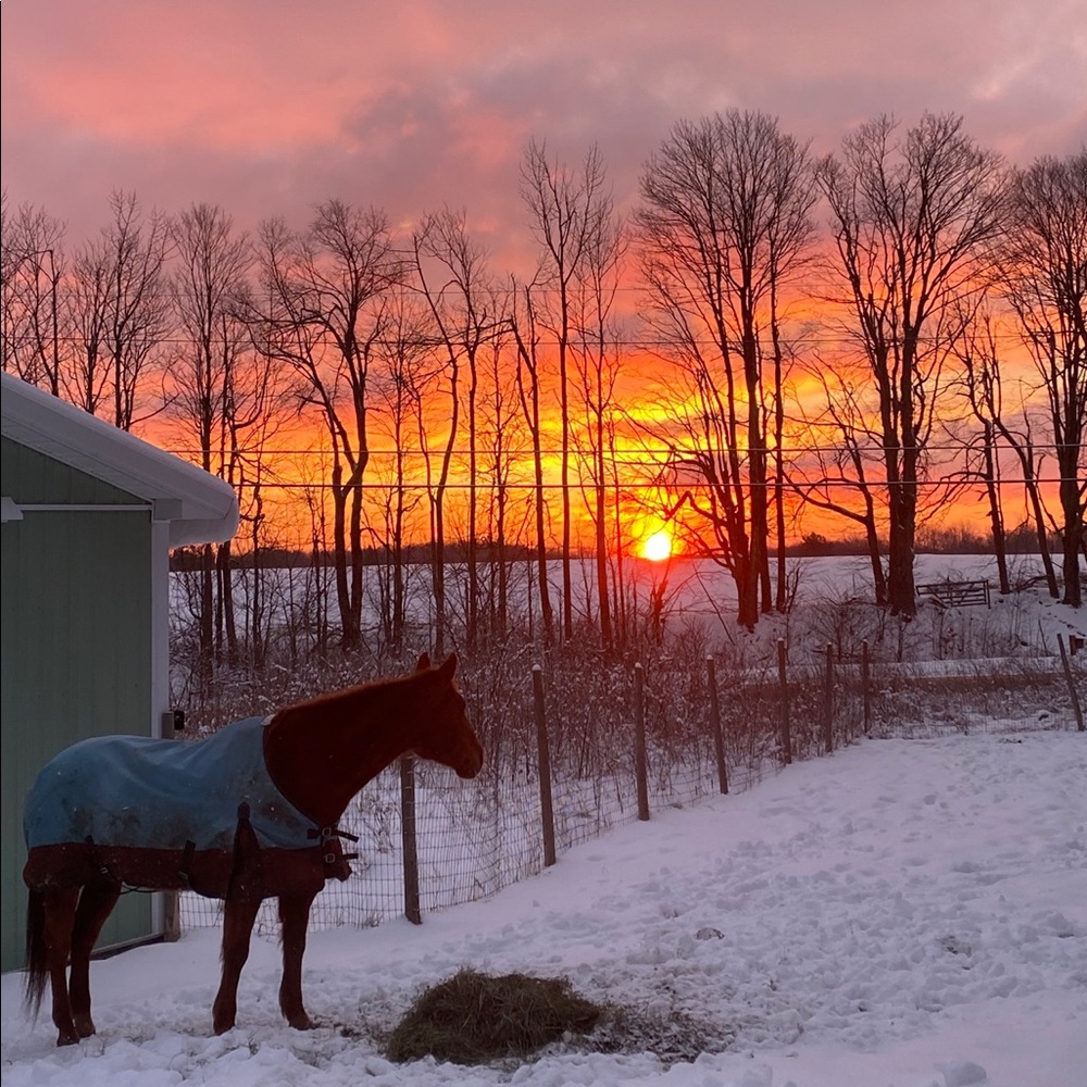 Meet your Posher, Lillian